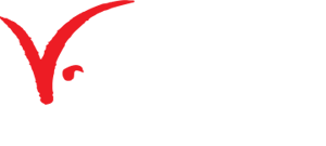 Logo capricorn x Eye Security